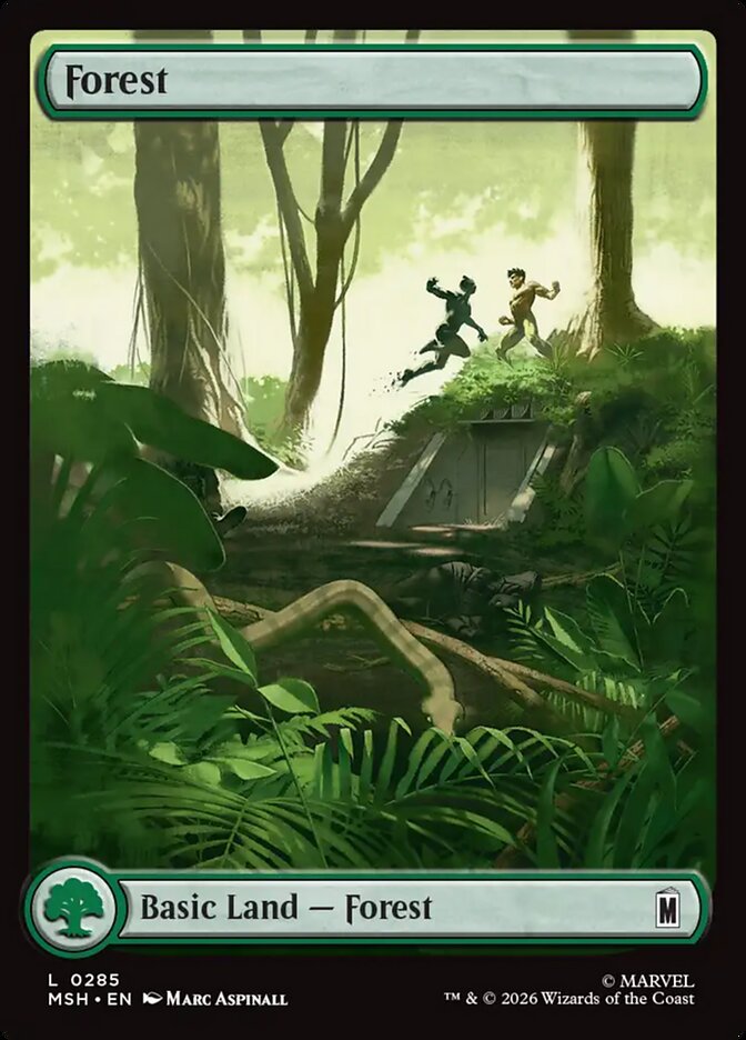 Forest